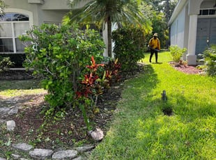 Bush Trimming by Broderick Belvin for Kyrah E. in Lakewood Ranch, FL