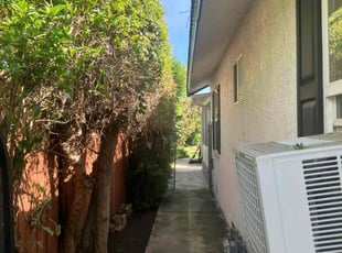 Bush Trimming by George Islas for Joseph T. in Santa Ana, CA