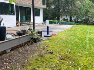 Leaf Removal by Richard Luiza Jr for Ani T. in Bellevue, WA
