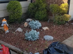 Weeding by Melissa Pryor for Teresa G. in Oklahoma City, OK