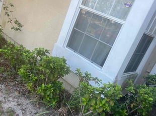 Bush Trimming by Withman Herrera for Gavin S. in Orlando, FL