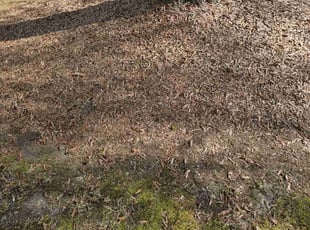 Cleanups by Gavarius Villines for Tashiba J. in Garner, NC