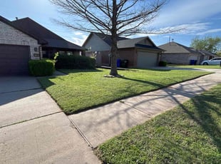 Abraham M.'s Lawn Mowing Service service result
