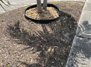 Weeding by Devin Wiggins for Jessica L. in Pompano Beach, FL