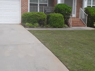 Barbara P.'s Bush Trimming service result
