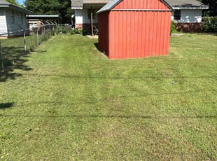 Darrius W.'s Lawn Service service result