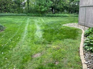 Martin A.'s Lawn Service service result