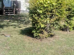 Leaf Removal by Peter Dean for Kenneth J. in Chapel Hill, NC