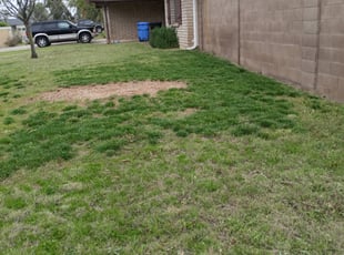 Cleanups by Eduardo Mendoza for Randi H. in Scottsdale, AZ