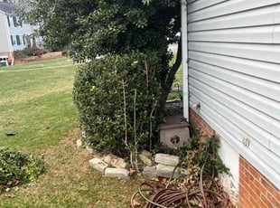 Bush Trimming by Cartouche Legrande Jr for Deanna R. in Clemmons, NC