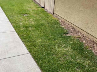Catina A.'s Lawn Maintenance service result