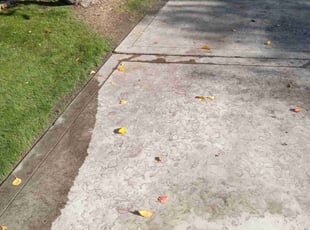 Leaf Removal by Jose Gonzalez for Kyle C. in Bakersfield, CA