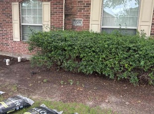 Landscaping by Omar Huerta for Charles Y. in Frisco, TX