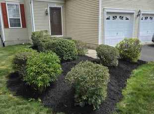 Mulching by Steven Ridzyowski for Dem I. in Lawrence Township, NJ