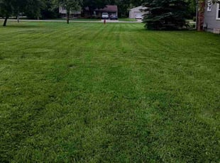 Brian D.'s Lawn Mowing service result