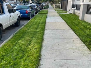 Jaron M.'s Lawn Care service result