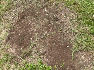 Cleanups by Beau Kirtner for Amy B. in Live Oak, TX