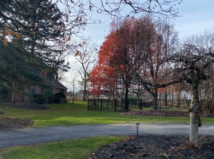 John G.'s Leaf Removal service result