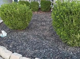 Weeding by Jeffrey Murphy for Leann B. in Cabot, AR