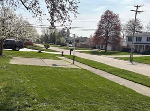 James W.'s Yard Cutting service result