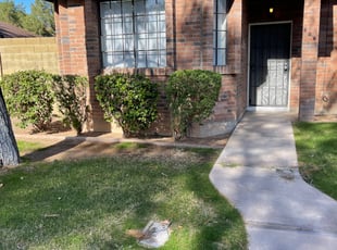 Bush Trimming by MarcusDesert no ok Burrell for Pat C. in Gilbert, AZ