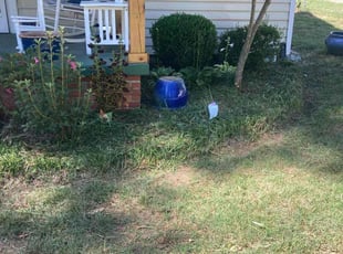 Weeding by Almonte Marshall for Kim A. in Durham, NC