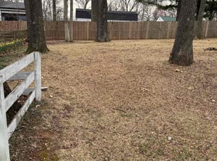 Weeding by Jairon Villagran for Catherine B. in Gaithersburg, MD