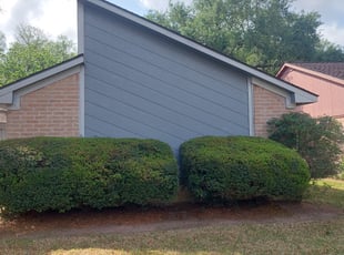 Bush Trimming by Antonio Villasenor for Rosa M. in Katy, TX