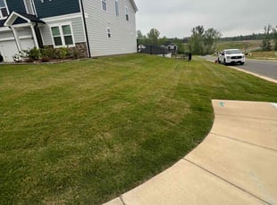 Karen R.'s Lawn Mowing Service service result