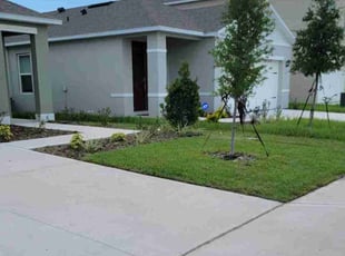 Johnetta E.'s Lawn Service service result