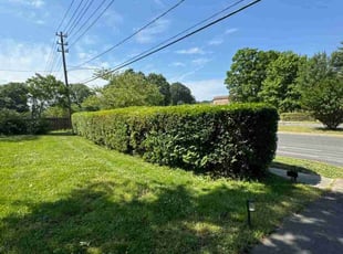 Bush Trimming by Joshua West for Imani G. in Richmond, VA