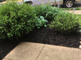Mulching by Terry Collins for Caren L. in Centreville, VA