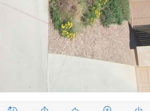 Weeding by Maria Gonzalez for Eric M. in Mesa, AZ