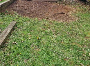 Cleanups by Billy Shelton for Hunter P. in Mars Hill, NC
