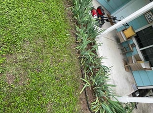 Weeding by Erik de JesΓΊs Prado Sanchez for Jeremy I. in Georgetown, TX