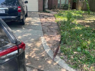 Leaf Removal by Emilius Henry for Rilee M. in Humble, TX