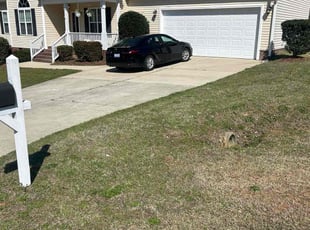 Bush Trimming by Brian Ziegler for Anita B. in Garner, NC