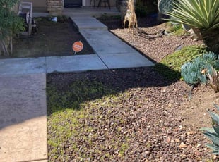 Robert S.'s Flower Bed Weeding service result