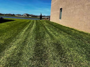 Jeffrey H.'s Lawn Maintenance service result