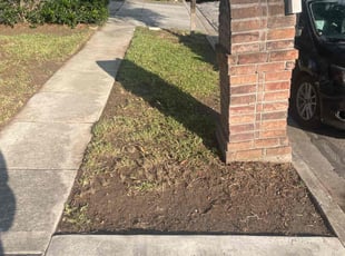 Leaf Removal by Beau Kirtner for Anjelica J. in Live Oak, TX