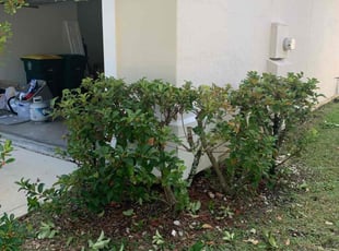 Bush Trimming by Gerrad Peterson for Kyle L. in Jacksonville, FL
