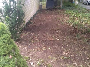 Cleanups by Earnest Williams for Wesley M. in Columbus, OH