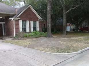 Leaf Removal by Eleazar Sepulveda for Marty M. in Humble, TX