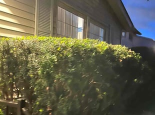 Bush Trimming by Otis Brown for Karla W. in Bedford, OH