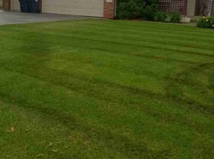 Antwan L.'s Lawn Service service result