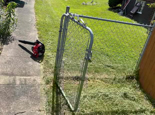 Deborah L.'s Lawn Mowing service result