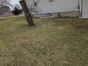 Leaf Removal by Jory Iwen for Carla I. in Argusville, ND