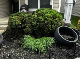 Bush Trimming by Ronald Coleman for Christal K. in Columbus, OH