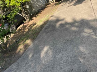 Leaf Removal by Jason Bernal for Kim B. in Manor, TX
