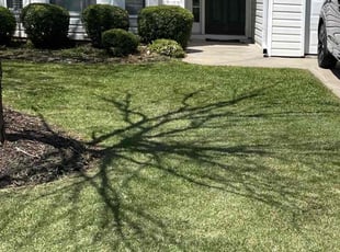 Bush Trimming by Jason Calhoun for Tago T. in Newnan, GA
